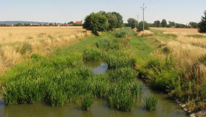 Zarostlé koryto pod jezem ve Stěpánově (ř. km 7,7).