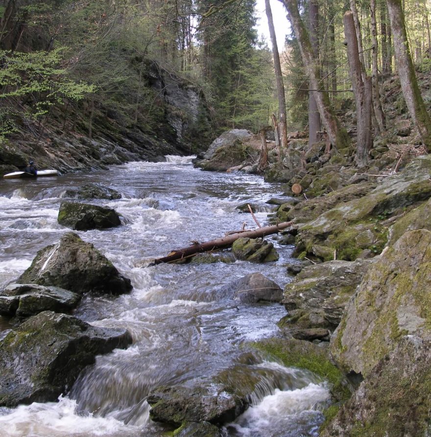 Kamenice pod Tobogánem.