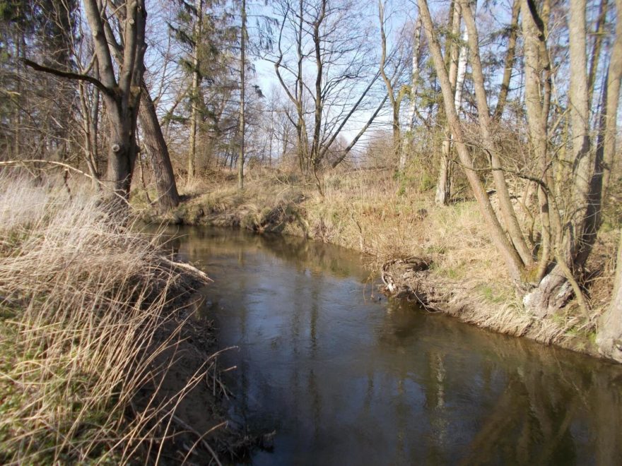 Oskava nad Šumvaldem - vzdutí.