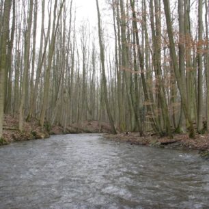 Pohled na zlatonosné ryžoviště Břevenec z vody.