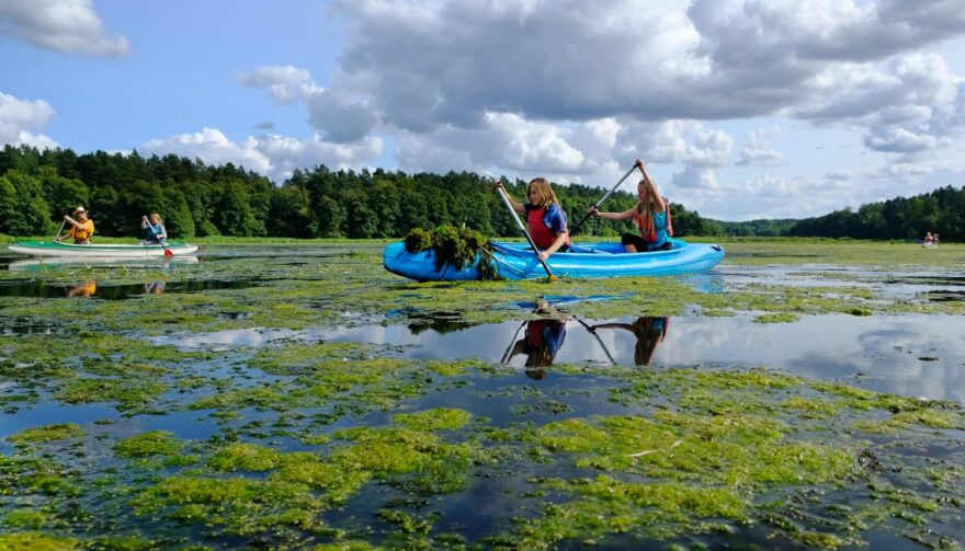 Jezioro Rejowickie jsme překřtili na "botanickou zahradu".