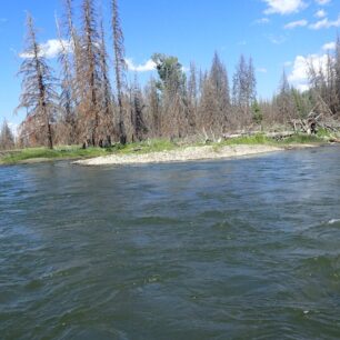 Snake River – hlavně nezabloudit mezi stromy a ostrovy.