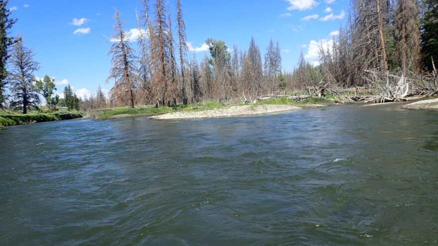 Snake River – hlavně nezabloudit mezi stromy a ostrovy.