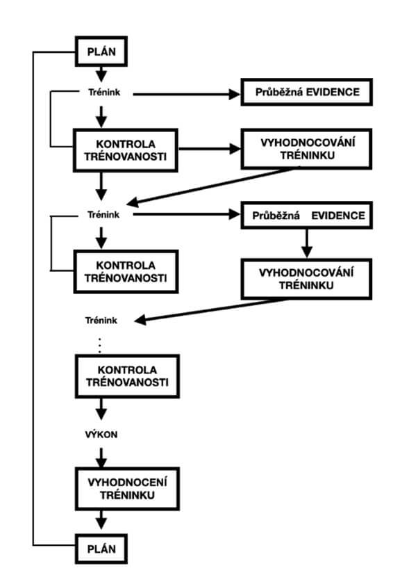 Diagram 1: Schématické znázornění tréninkového deníku.