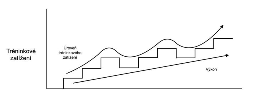 Diagram 4: Závislost postupného zvyšování tréninkového zatížení a růstu výkonnosti.