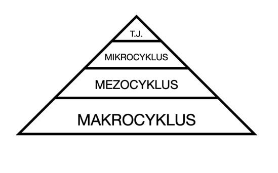 Diagram 5: Cykly tréninkového plánu.