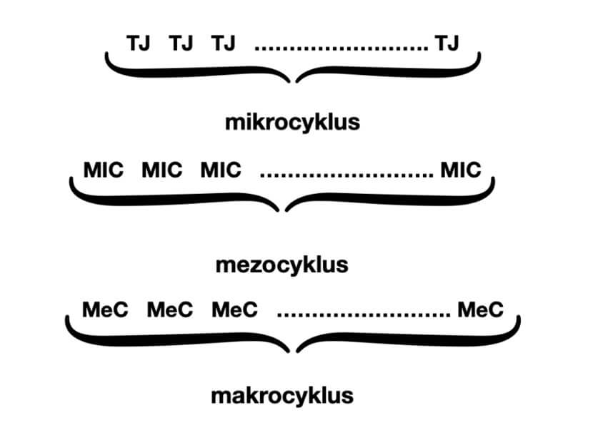 Diagram 6: Souvztažnost TJ, mikrocyklů, mezocyklů a makrocyklu.