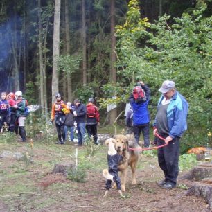 Vavřinec 2011