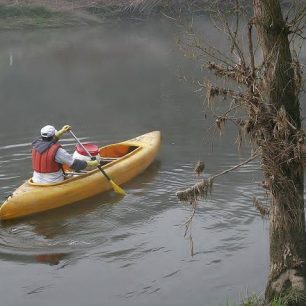 Čistá řeka Sázava
