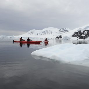 Plující ledy v zátoce Scontorp Cove