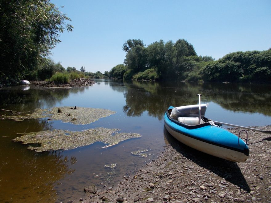 Odra pod obcí Grzegorzowice / F: Vojta Brádle a Andílek