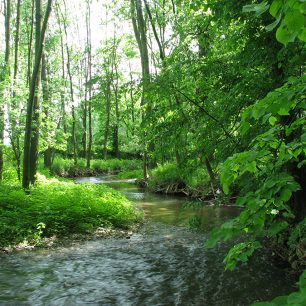 Meandry Romže  / F: František Prokeš