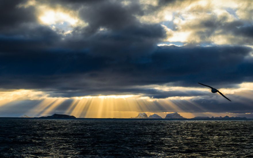 Antarktida nejen na seakajaku / F: Jan Hocek