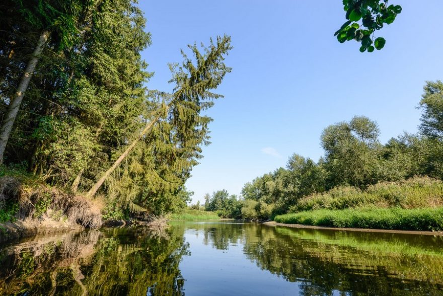 Strmé břehy místy dosahují několikametrové výšky a z nich se nad hladinu sklánějí obrovské uschlé stromy, čekající na svůj neodvratný pád do řeky