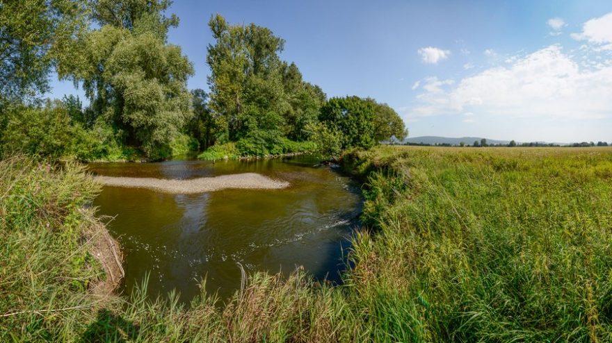 Meandry řeky Moravy