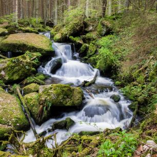 Vodopády Svatého Wolfganga se nacházejí na Menší Vltavici a patří k nejkrísnějším koutům Vyšebrodska / F: archiv Vyšší Brod