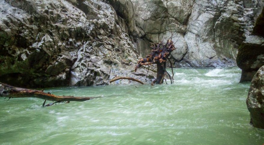 První strom je hned v takzvaném dómu. Je vidět až na polední chvíli a jsou před ním nepříjmené bubláky.